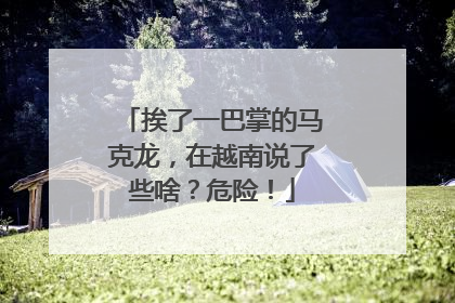 挨了一巴掌的马克龙，在越南说了些啥？危险！