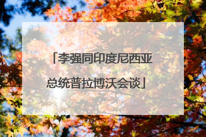 李强同印度尼西亚总统普拉博沃会谈