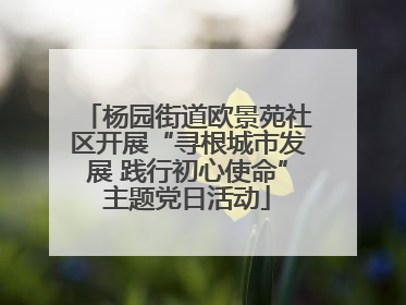 杨园街道欧景苑社区开展“寻根城市发展 践行初心使命”主题党日活动