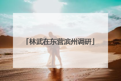 林武在东营滨州调研