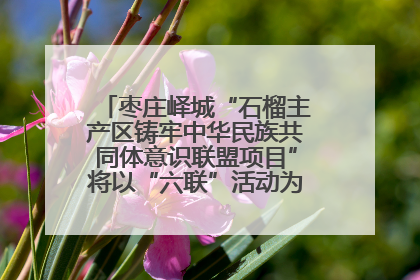 枣庄峄城“石榴主产区铸牢中华民族共同体意识联盟项目”将以“六联”活动为抓手深化品牌建设