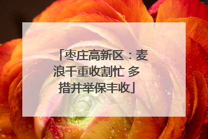 枣庄高新区：麦浪千重收割忙 多措并举保丰收