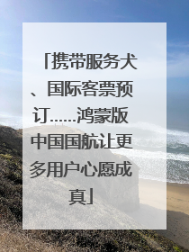 携带服务犬、国际客票预订……鸿蒙版中国国航让更多用户心愿成真