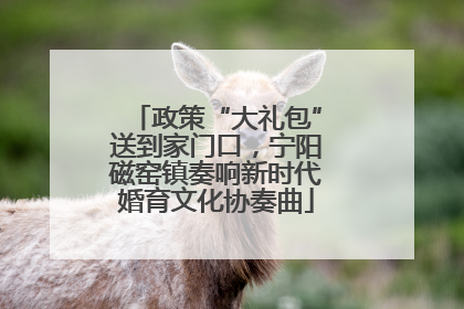 政策“大礼包”送到家门口，宁阳磁窑镇奏响新时代婚育文化协奏曲