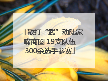 散打“武”动陆家嘴商圈 19支队伍300余选手参赛
