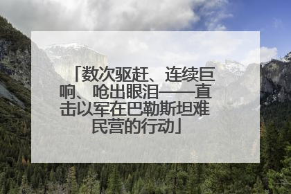 数次驱赶、连续巨响、呛出眼泪——直击以军在巴勒斯坦难民营的行动