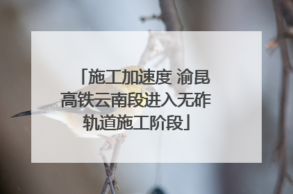 施工加速度 渝昆高铁云南段进入无砟轨道施工阶段