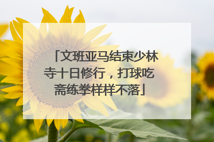 文班亚马结束少林寺十日修行，打球吃斋练拳样样不落