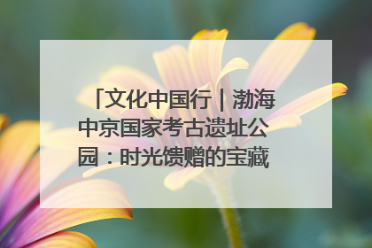 文化中国行｜渤海中京国家考古遗址公园：时光馈赠的宝藏 历史凝固的诗篇