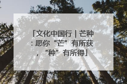文化中国行｜芒种：愿你“芒”有所获，“种”有所得