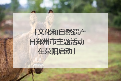 文化和自然遗产日郑州市主题活动在荥阳启动