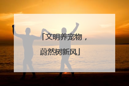 文明养宠物，蔚然树新风