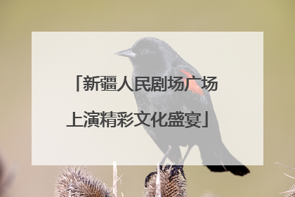 新疆人民剧场广场上演精彩文化盛宴