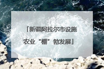 新疆阿拉尔市设施农业“棚”勃发展