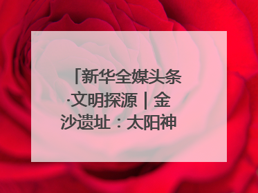 新华全媒头条·文明探源｜金沙遗址：太阳神鸟起飞的地方