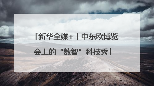 新华全媒+丨中东欧博览会上的“数智”科技秀