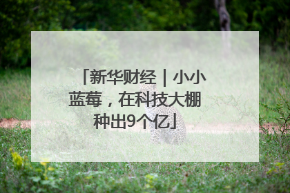 新华财经｜小小蓝莓，在科技大棚种出9个亿