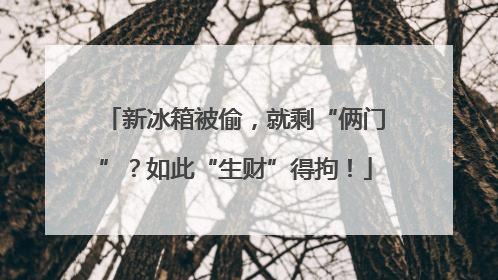 新冰箱被偷，就剩“俩门”？如此“生财”得拘！