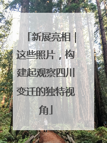 新展亮相｜这些照片，构建起观察四川变迁的独特视角
