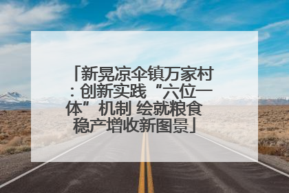 新晃凉伞镇万家村：创新实践“六位一体”机制 绘就粮食稳产增收新图景