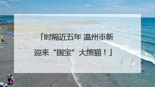 时隔近五年 温州重新迎来“国宝”大熊猫！
