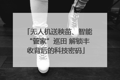 无人机送秧苗、智能“管家”巡田 解锁丰收背后的科技密码