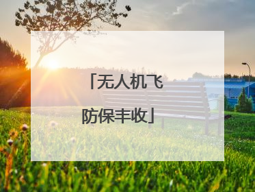 无人机飞防保丰收