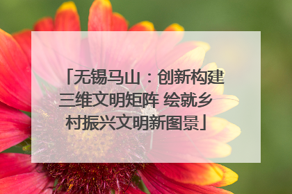 无锡马山：创新构建三维文明矩阵 绘就乡村振兴文明新图景