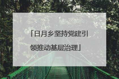 日月乡坚持党建引领推动基层治理