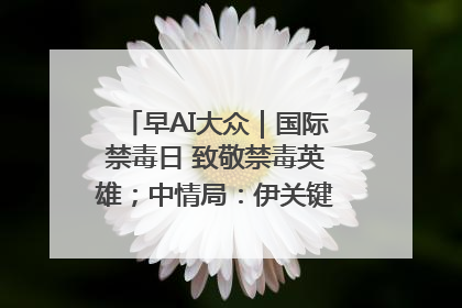 早AI大众｜国际禁毒日 致敬禁毒英雄；中情局：伊关键核设施被摧毁