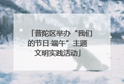 普陀区举办“我们的节日·端午”主题文明实践活动