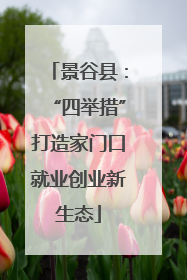 景谷县：“四举措”打造家门口就业创业新生态