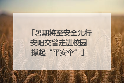 暑期将至安全先行 安阳交警走进校园撑起“平安伞”