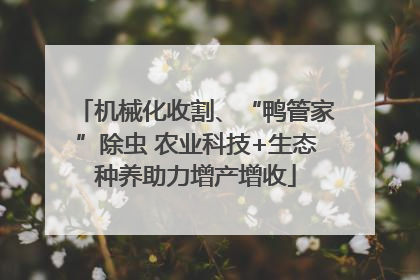 机械化收割、“鸭管家”除虫 农业科技+生态种养助力增产增收