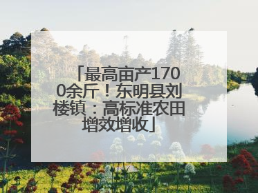 最高亩产1700余斤！东明县刘楼镇：高标准农田增效增收