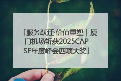 服务跃迁·价值重塑｜厦门机场斩获2025CAPSE年度峰会四项大奖