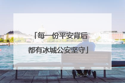 每一份平安背后 都有冰城公安坚守