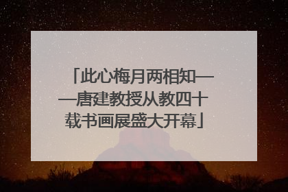 此心梅月两相知——唐建教授从教四十载书画展盛大开幕