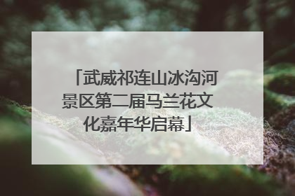 武威祁连山冰沟河景区第二届马兰花文化嘉年华启幕