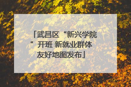 武昌区“新兴学院”开班 新就业群体友好地图发布