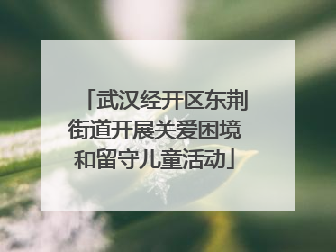 武汉经开区东荆街道开展关爱困境和留守儿童活动