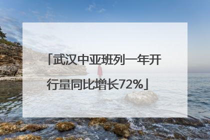 武汉中亚班列一年开行量同比增长72%