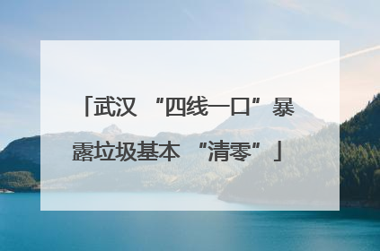 武汉 “四线一口”暴露垃圾基本 “清零”