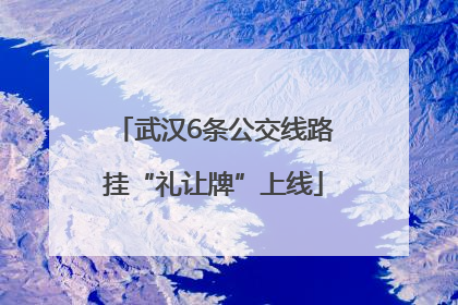 武汉6条公交线路挂“礼让牌”上线