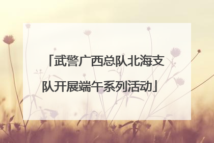 武警广西总队北海支队开展端午系列活动