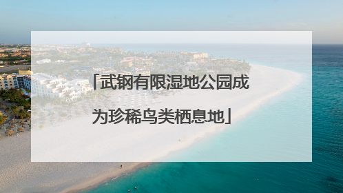 武钢有限湿地公园成为珍稀鸟类栖息地