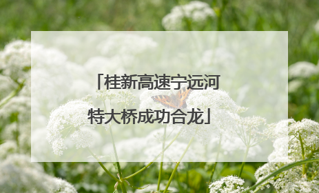桂新高速宁远河特大桥成功合龙