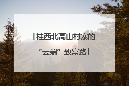 桂西北高山村寨的“云端”致富路