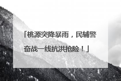 桃源突降暴雨，民辅警奋战一线抗洪抢险！