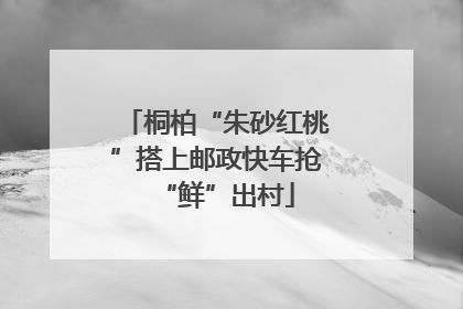 桐柏“朱砂红桃”搭上邮政快车抢“鲜”出村
